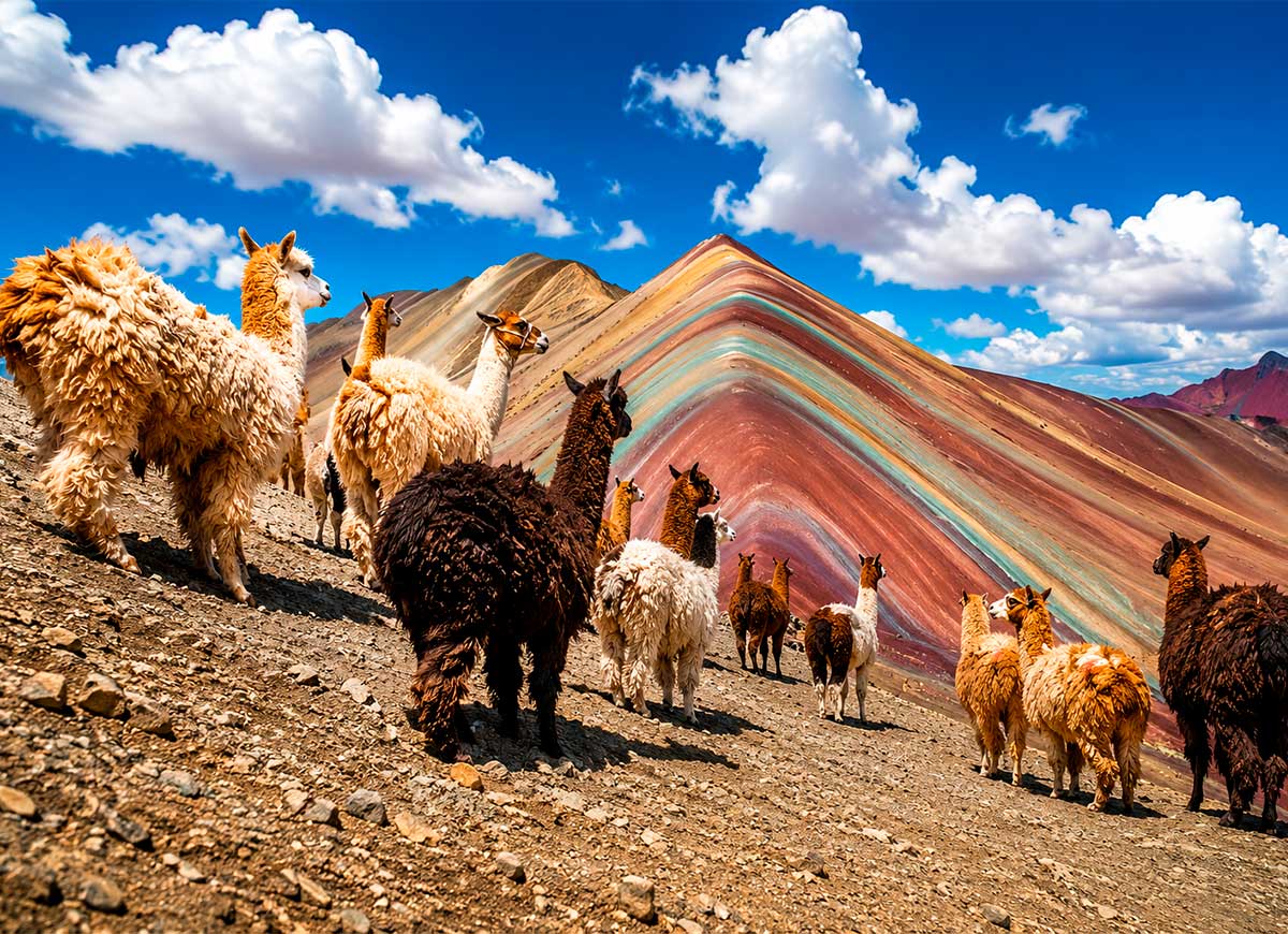 Tour Montaña de 7 Colores Vinicunca