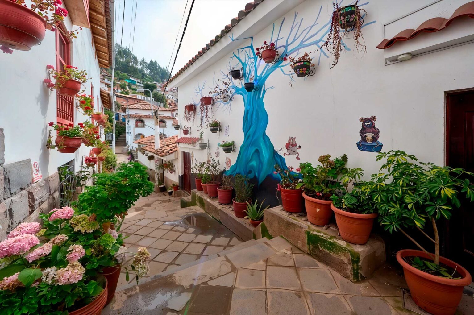 Continuar-hacia-San-Cristóbal-por-las-calles-de-7-borreguitos-cusco