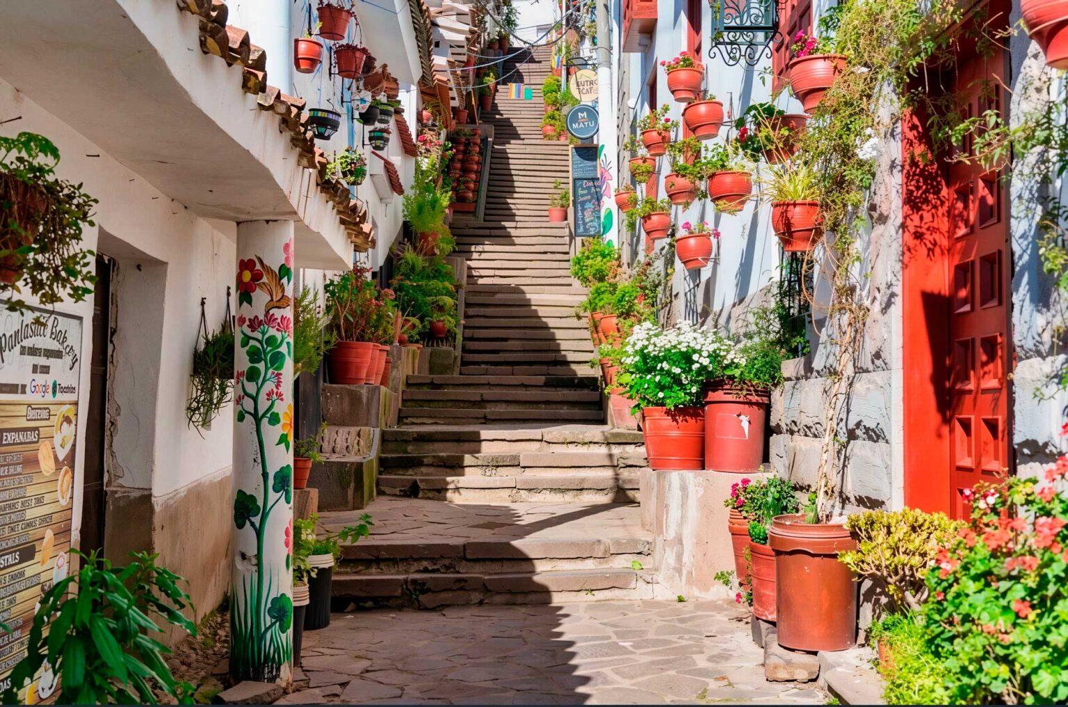 Fotografiar-sus-casas,-flores-y-macetas-de-la-calle-7-borreguitos-cusco